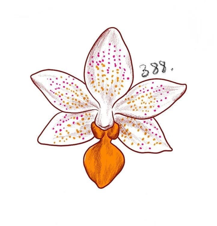 Flash tattoo 388