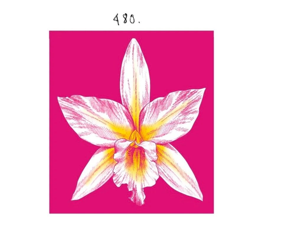 Flash tattoo 480