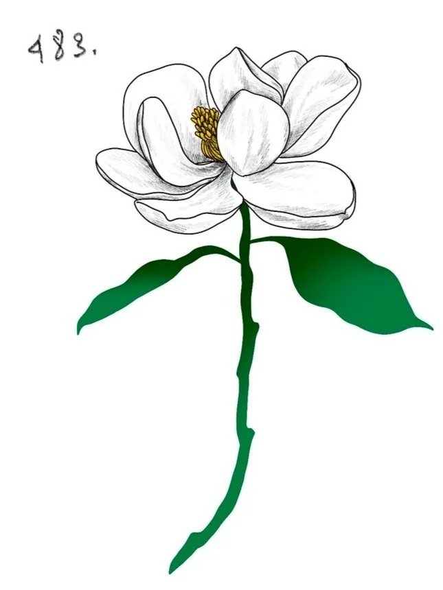 Flash tattoo 483