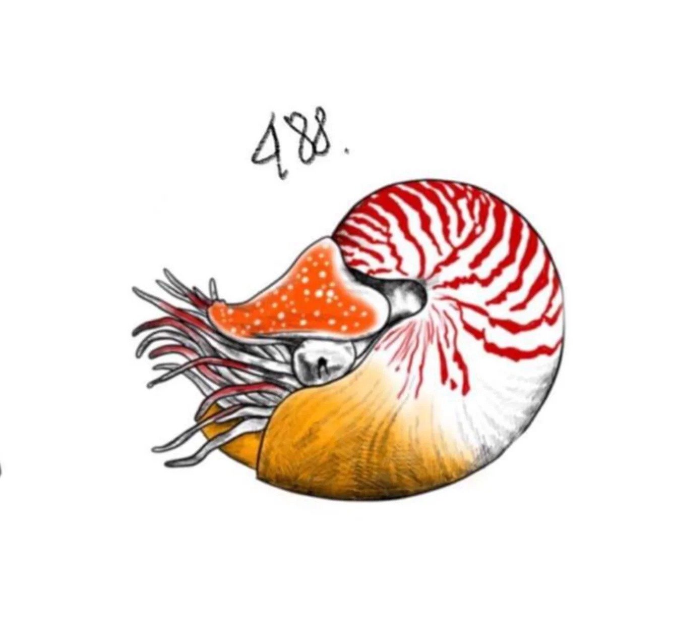 Flash tattoo 488