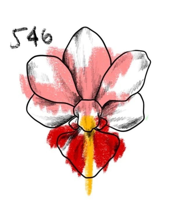 Flash tattoo 546