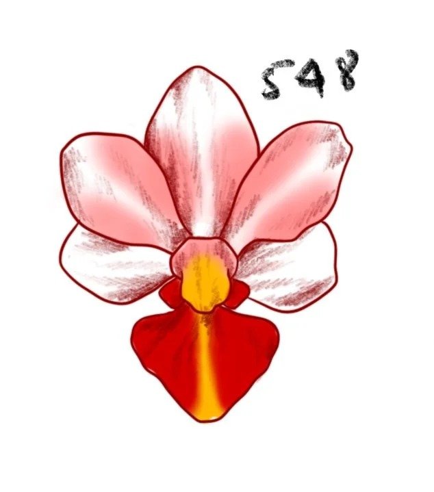 Flash tattoo 548
