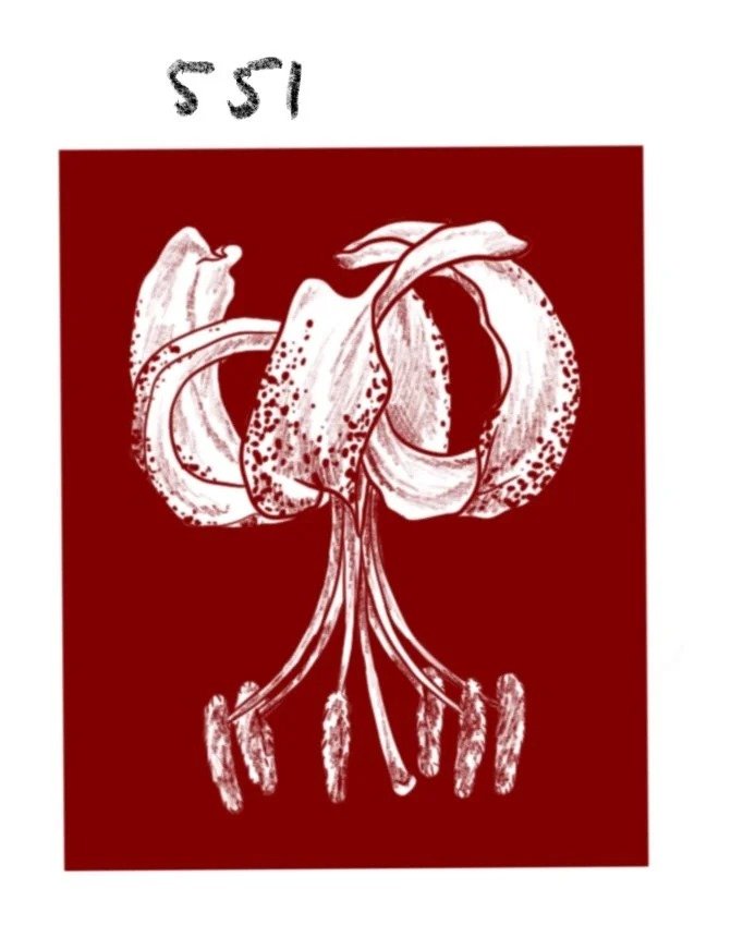 Flash tattoo 551