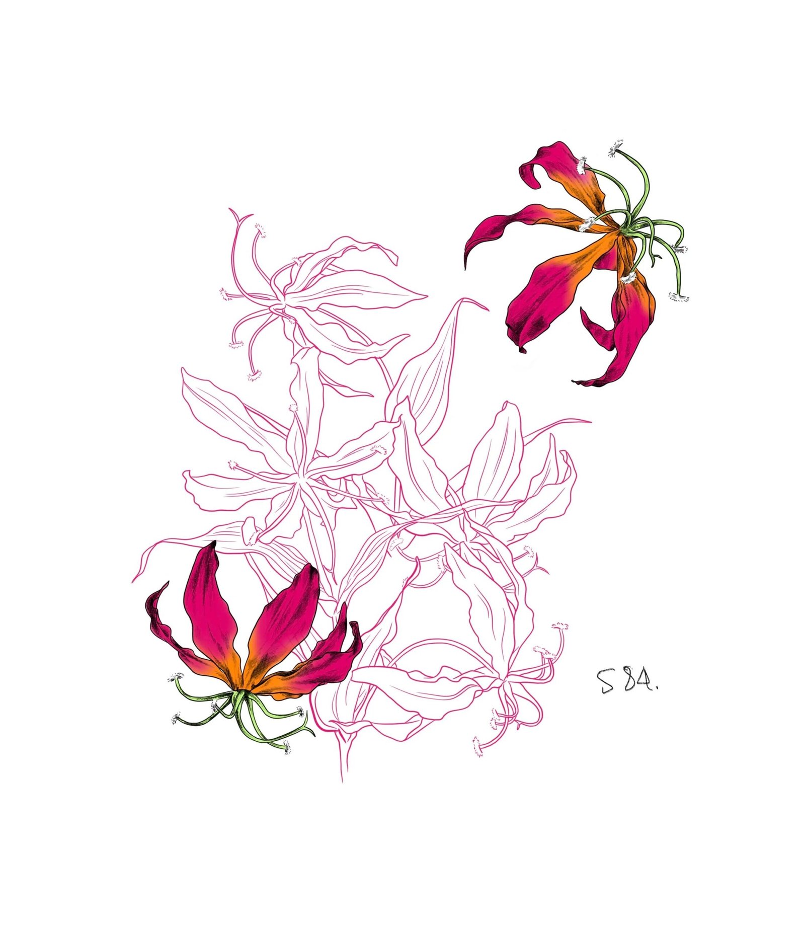 Flash tattoo 584