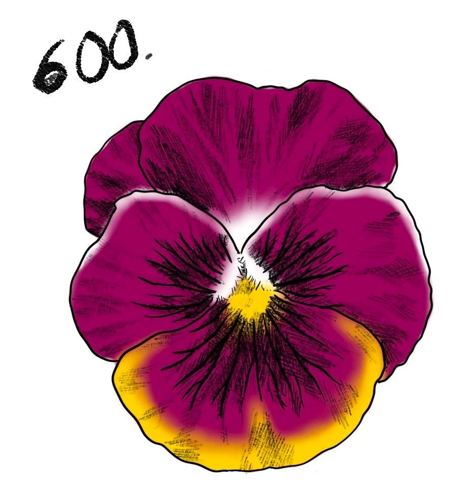 Flash tattoo 600
