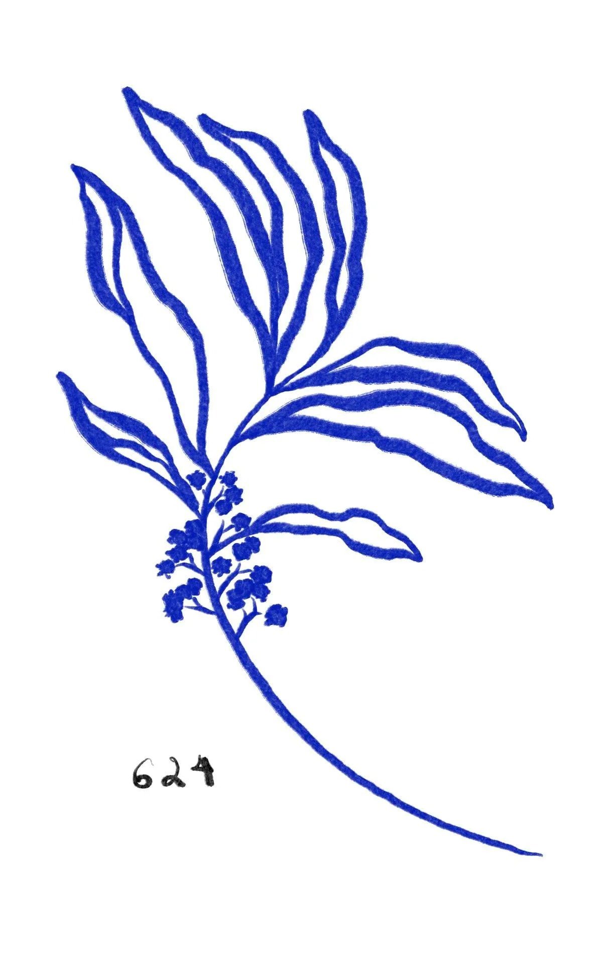 Flash tattoo 624