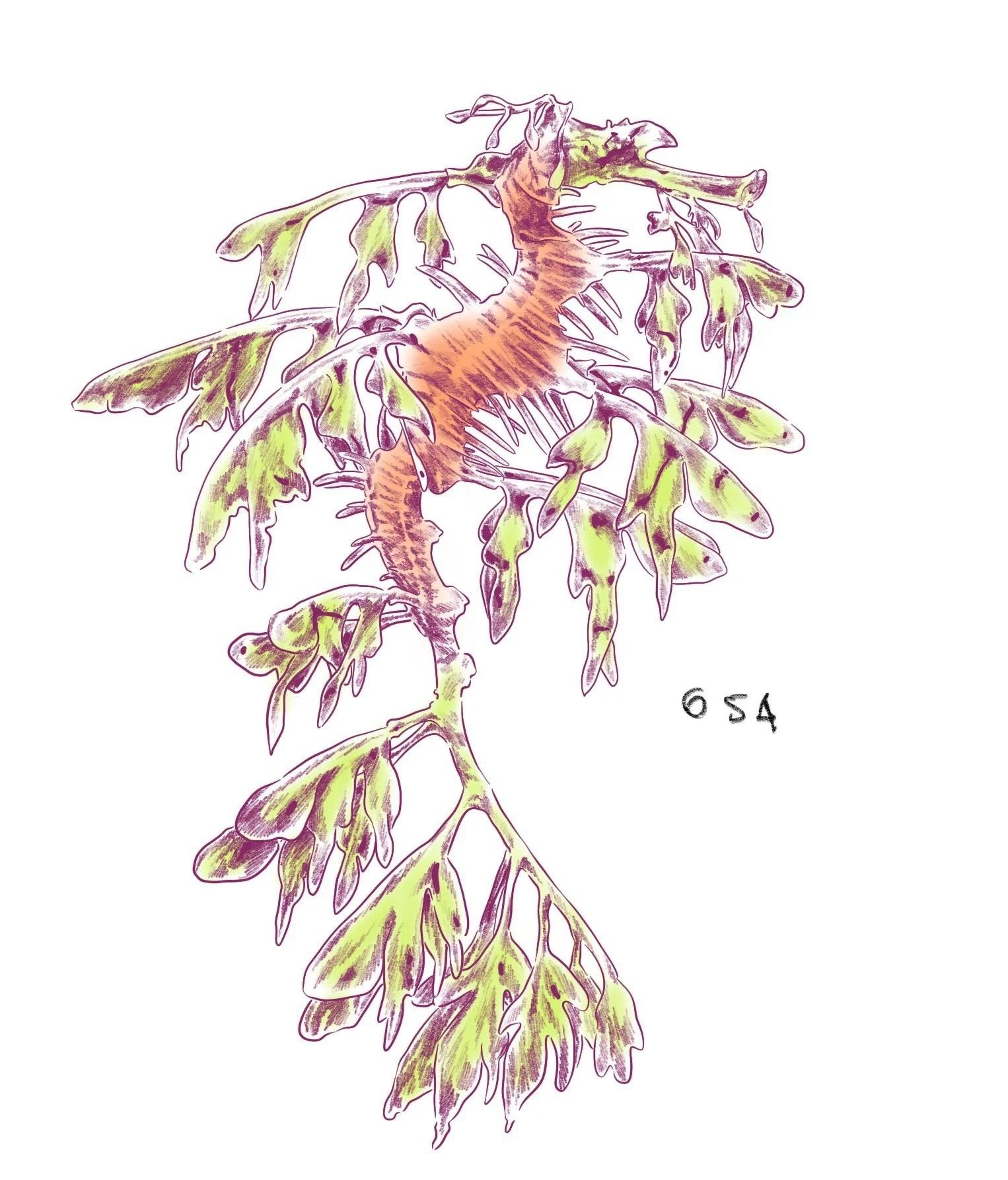 Flash tattoo 654