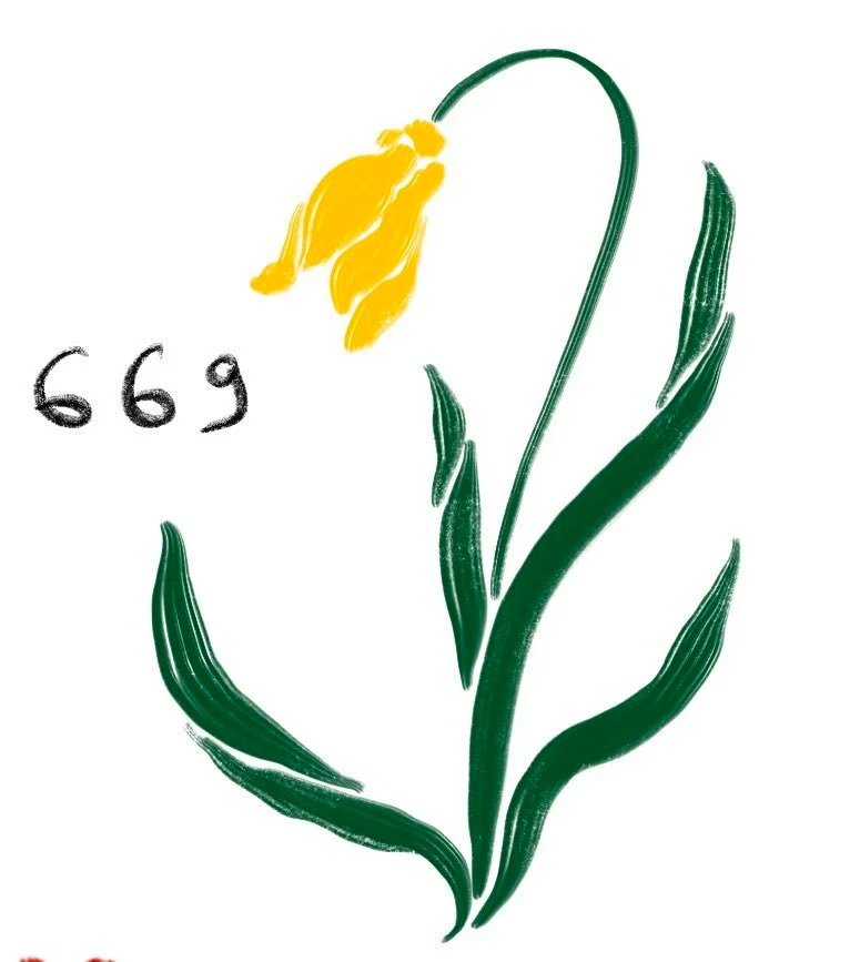 Flash tattoo 669