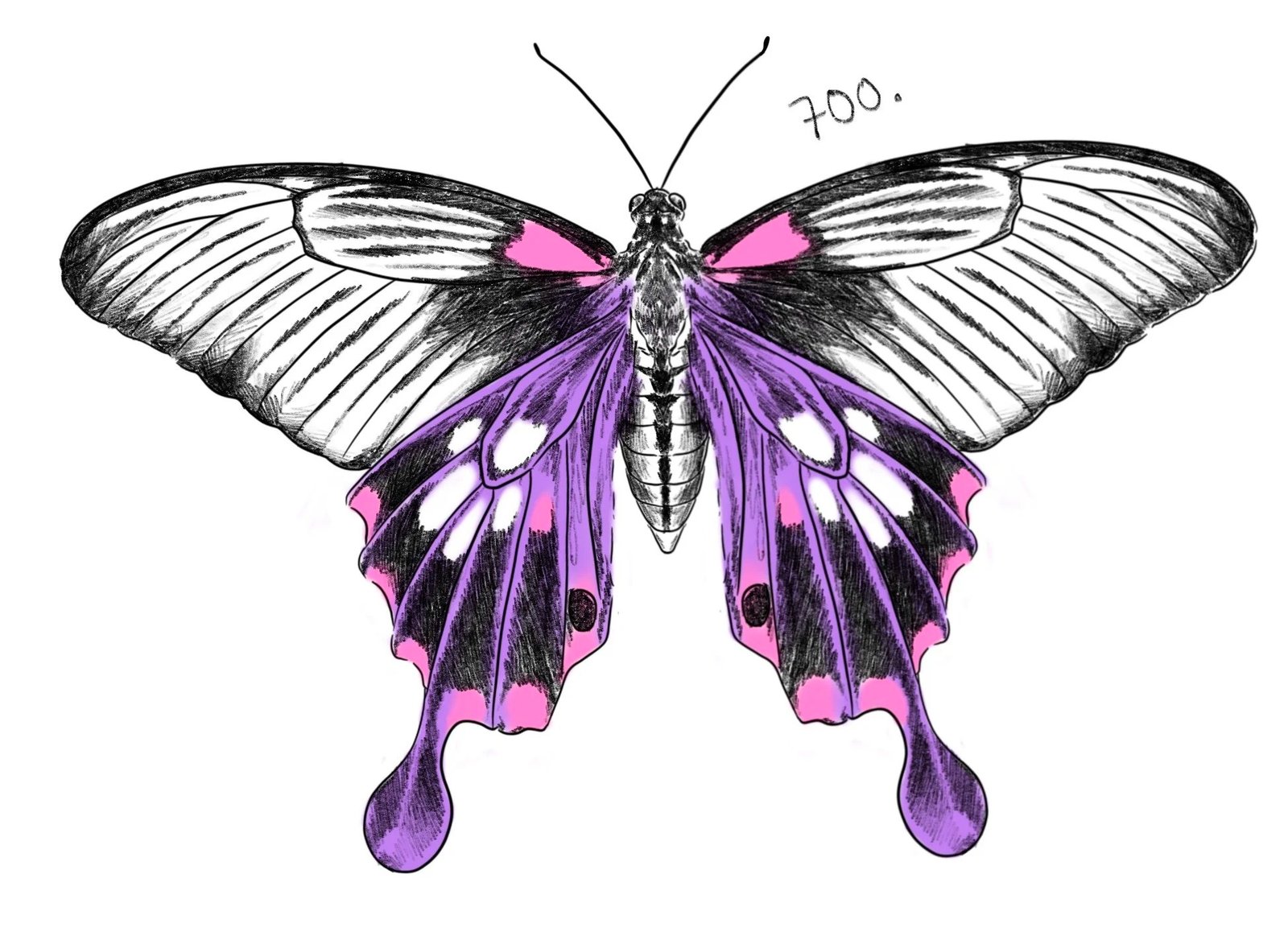 Flash tattoo 700