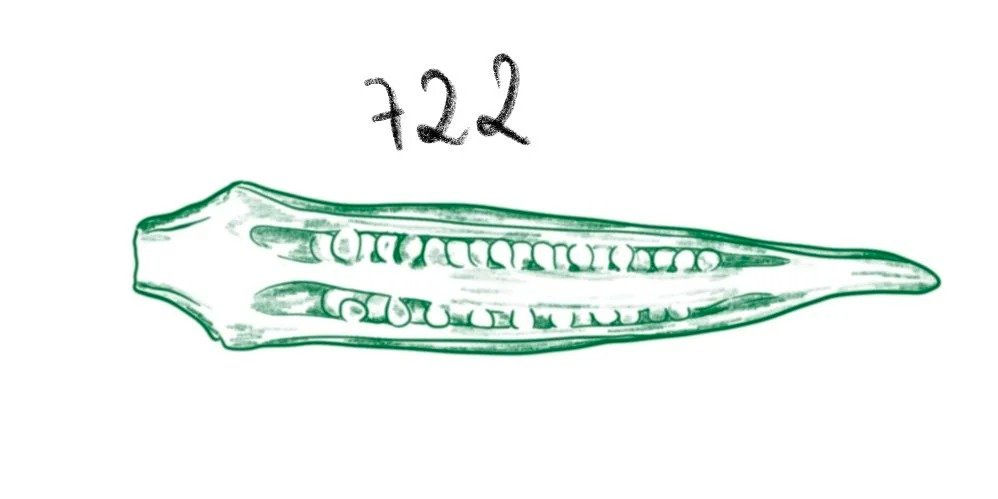 Flash tattoo 722