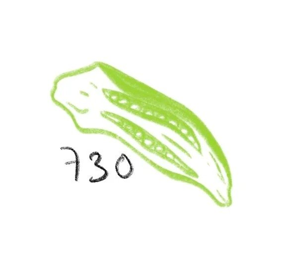 Flash tattoo 730
