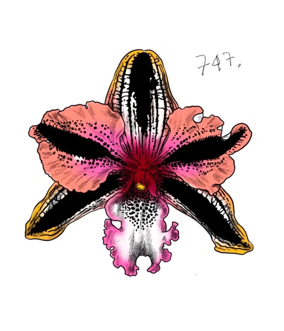 Flash tattoo 747