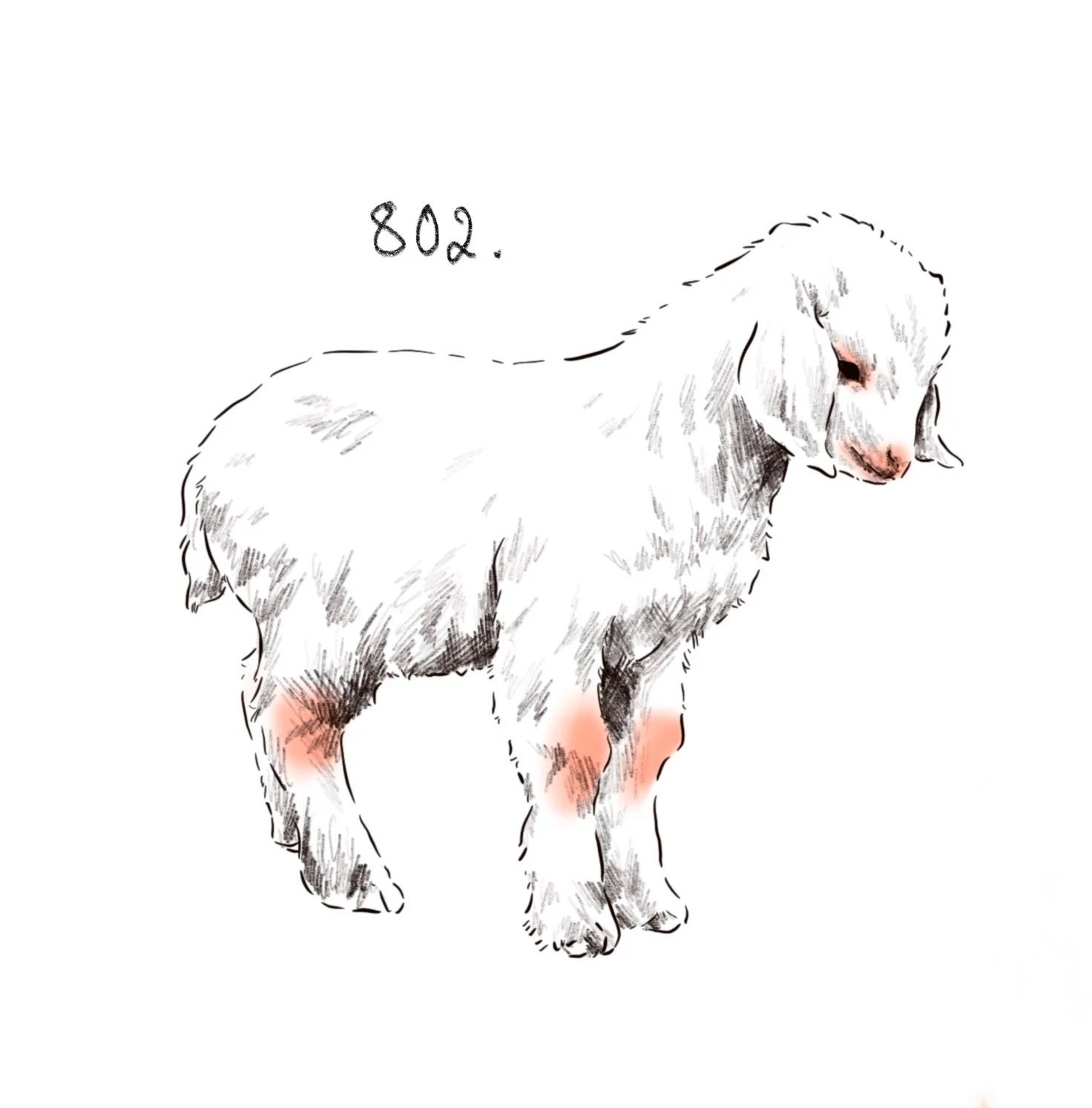 Flash tattoo 802