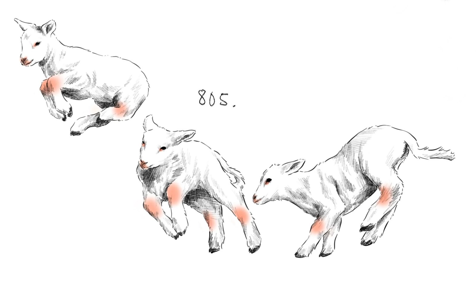 Flash tattoo 805