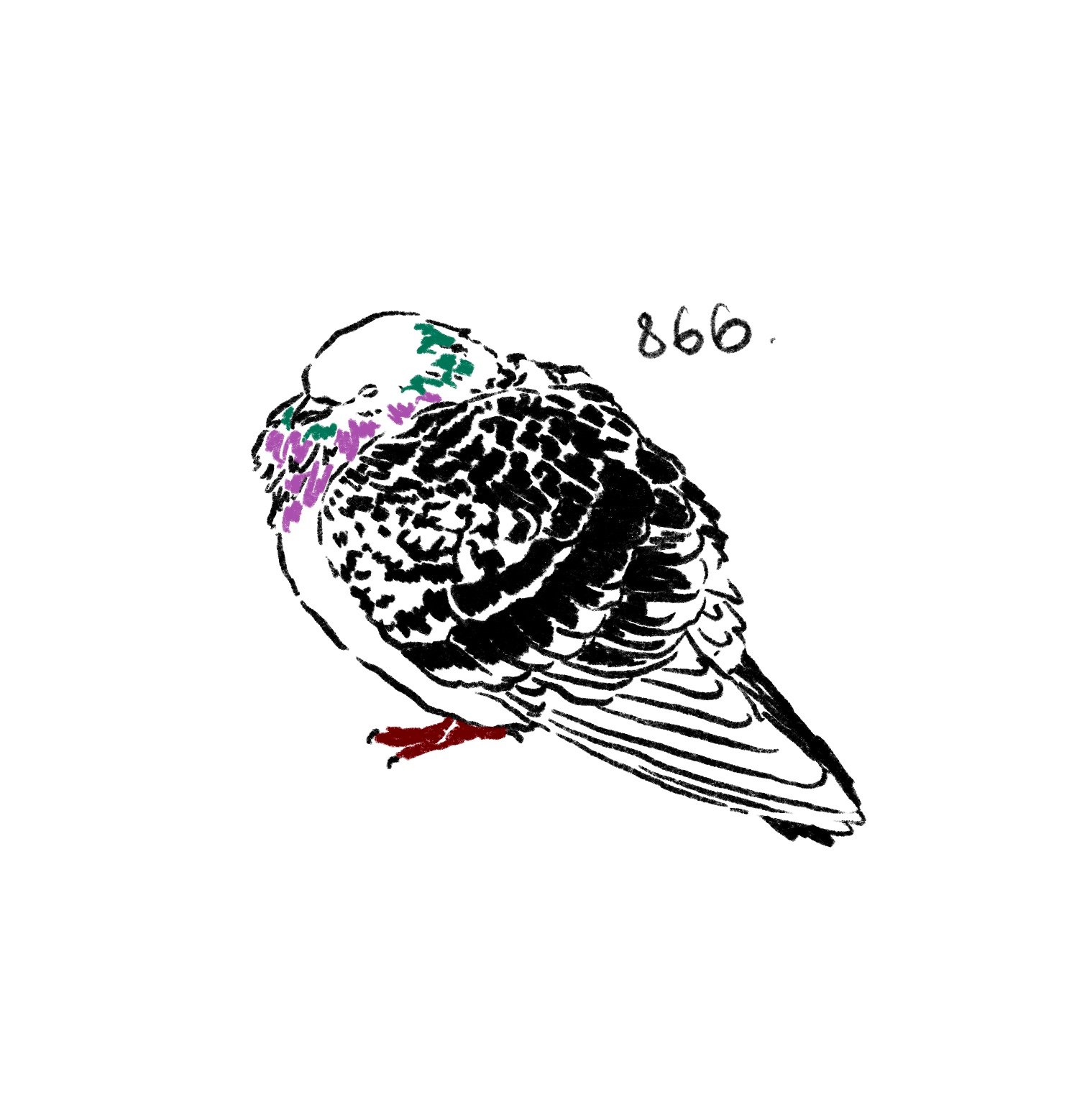Flash 866