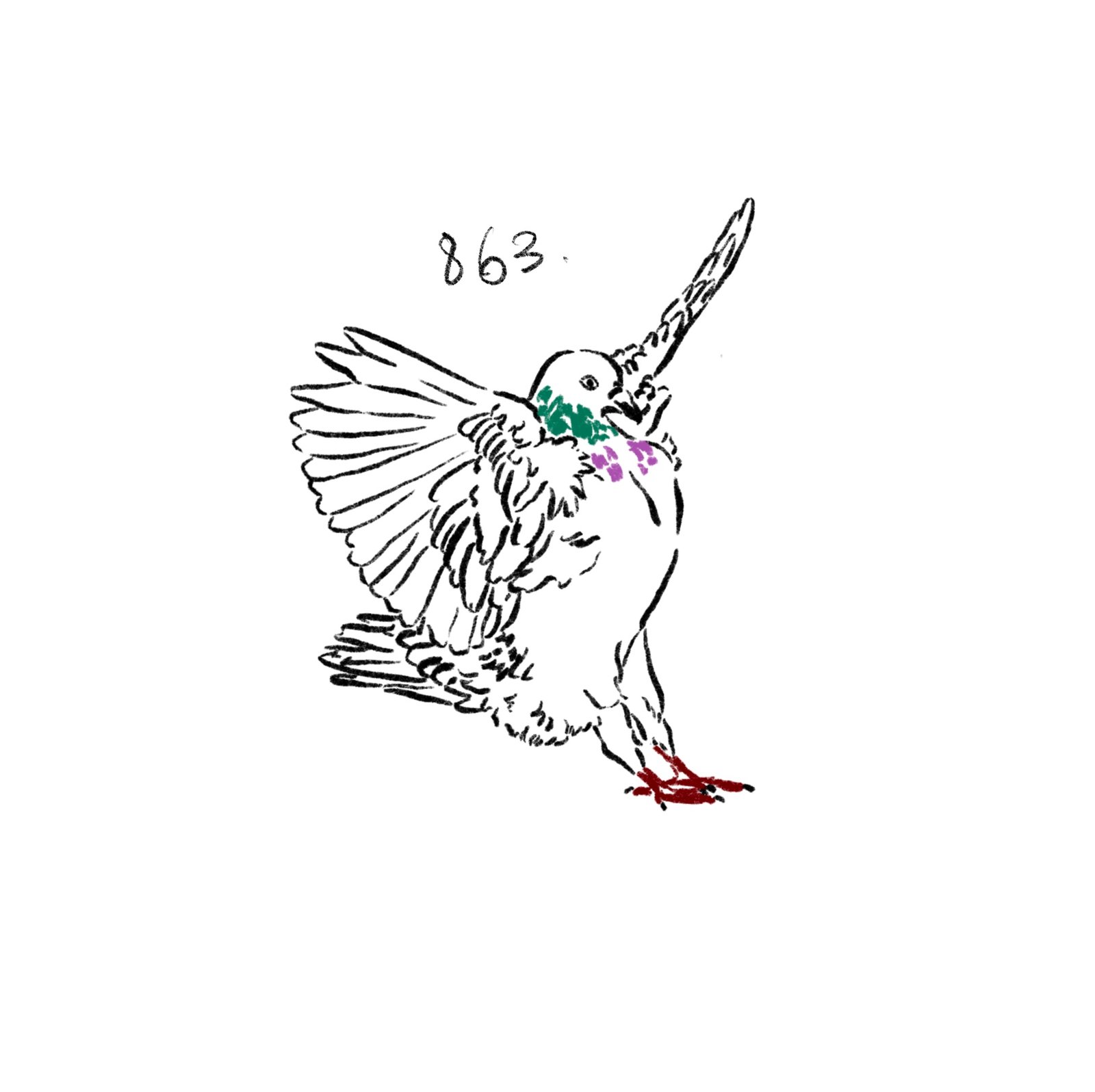 Flash 863