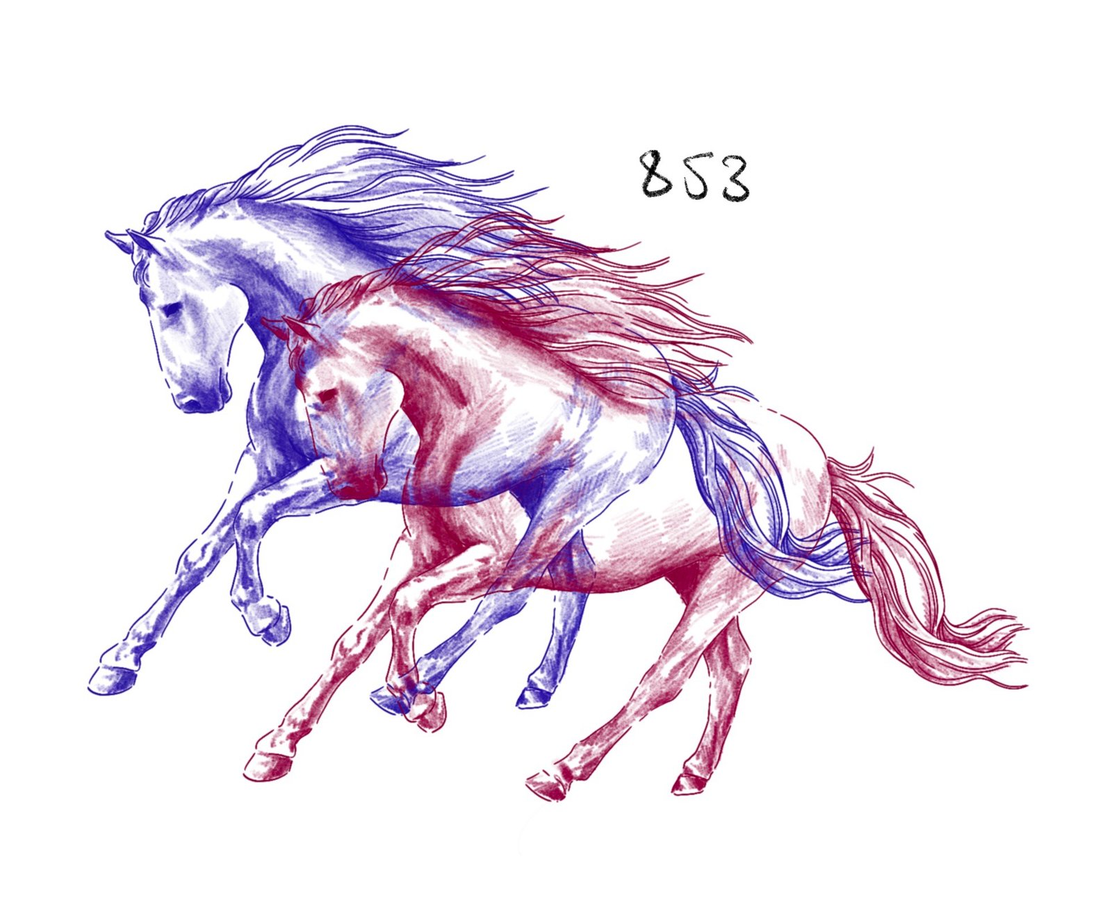 Flash 853