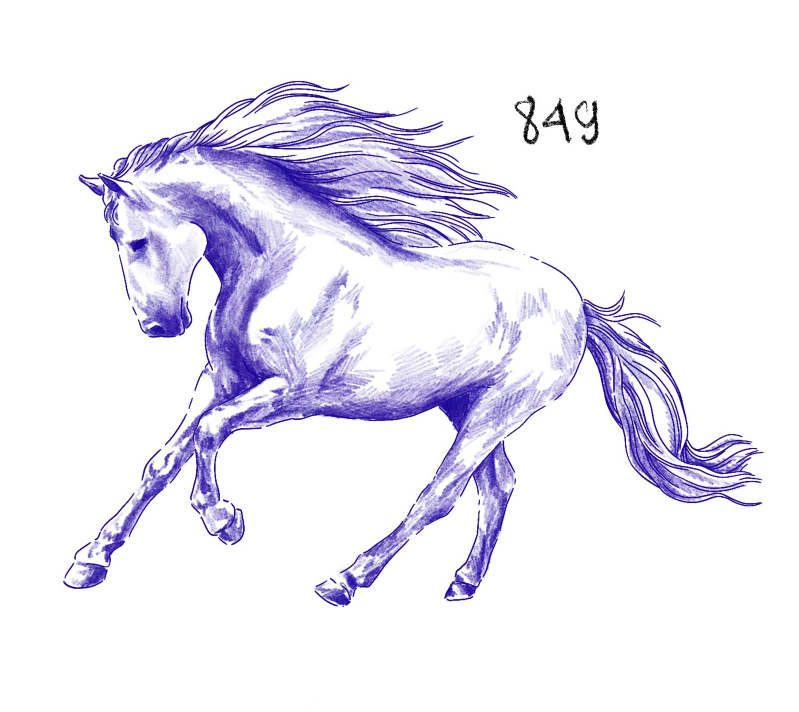 Flash 849