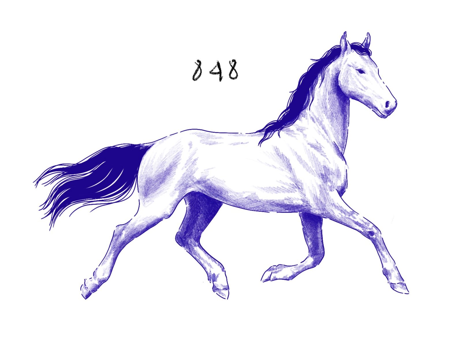 Flash 848