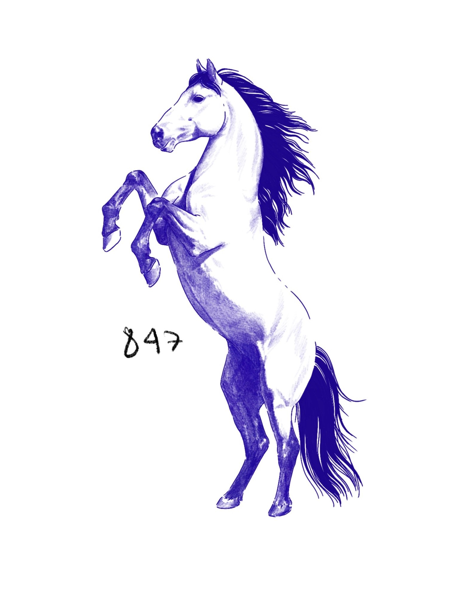 Flash 847