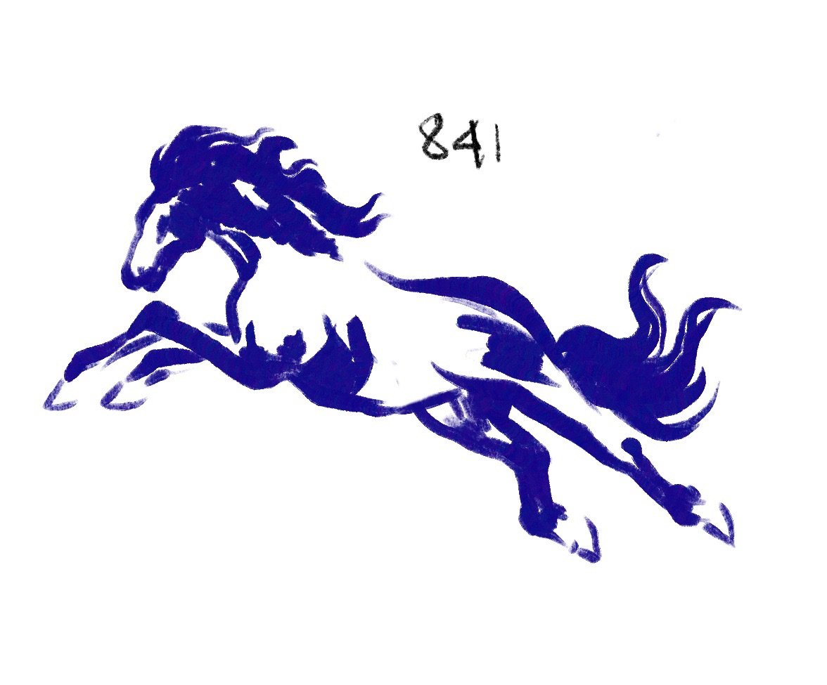 Flash 841