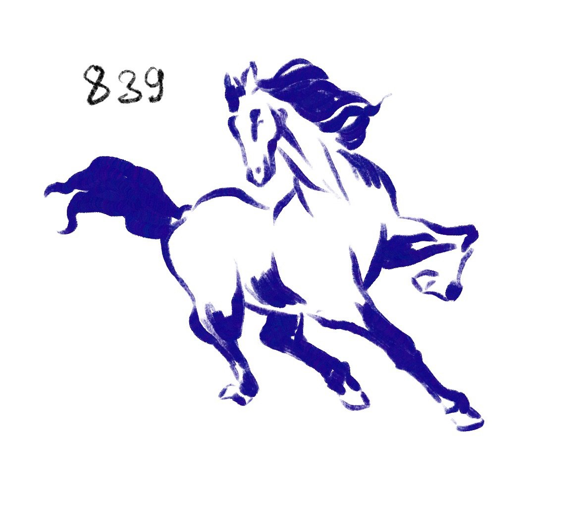 Flash 839