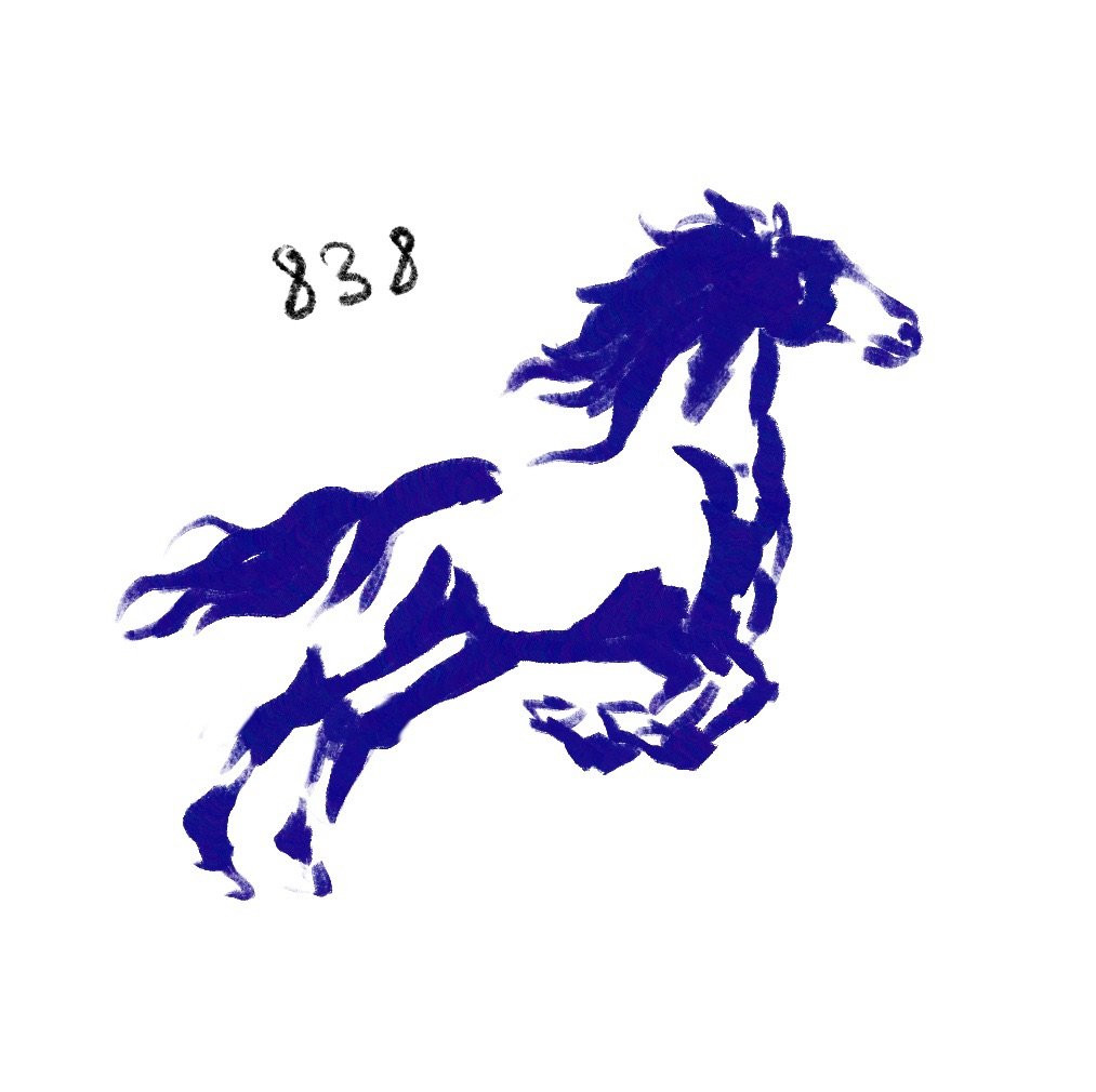 Flash 838