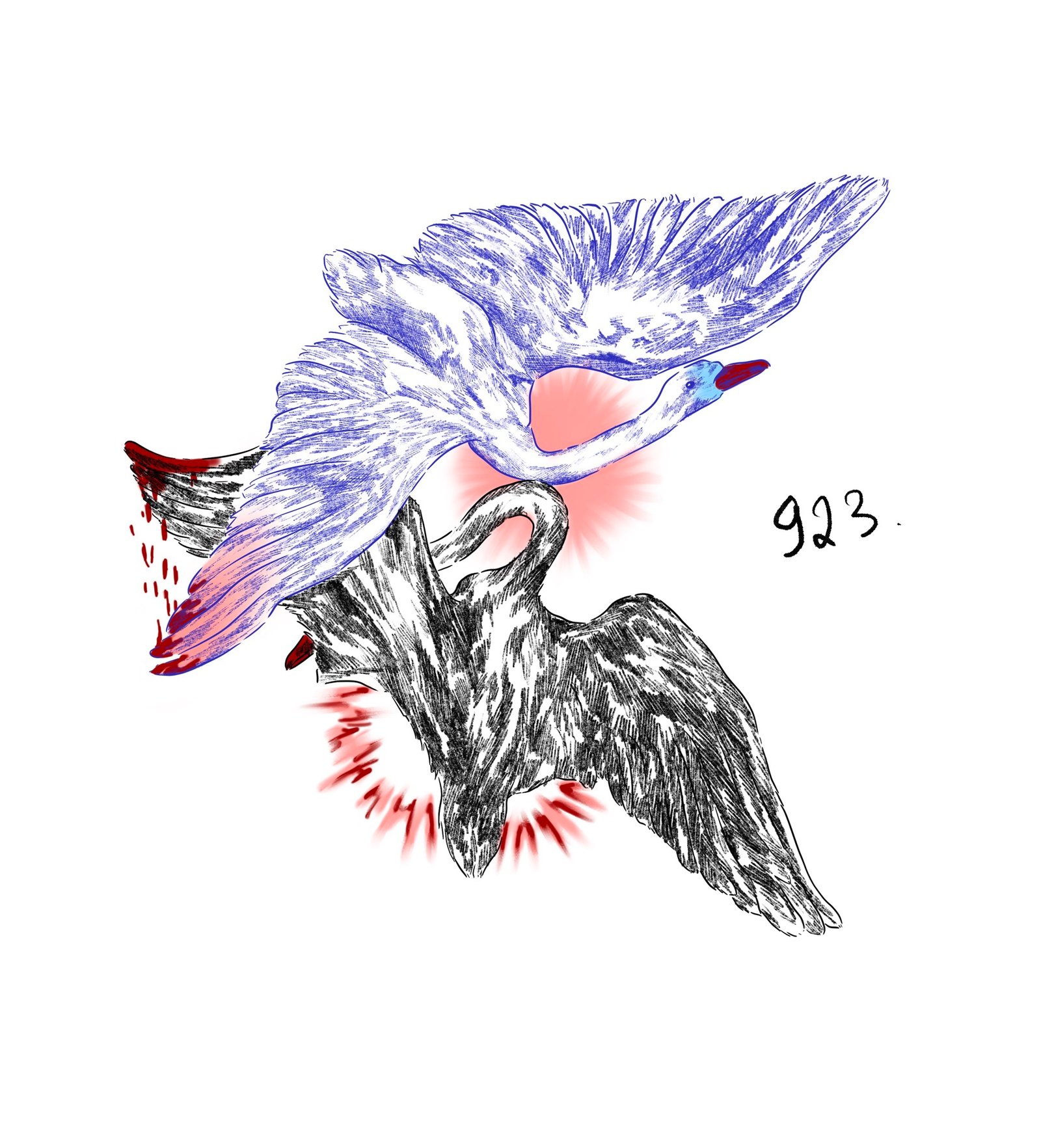 Flash 923