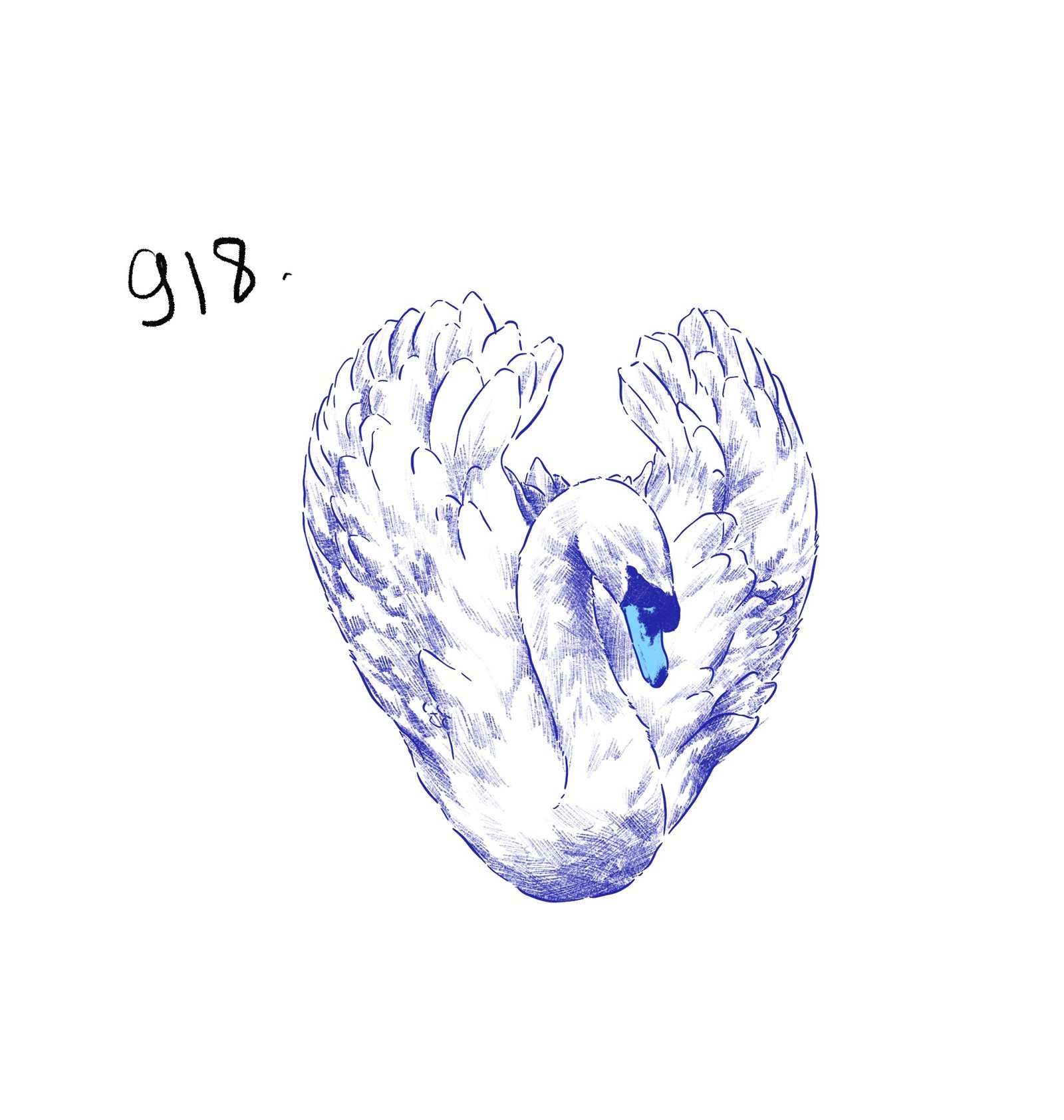 Flash 918