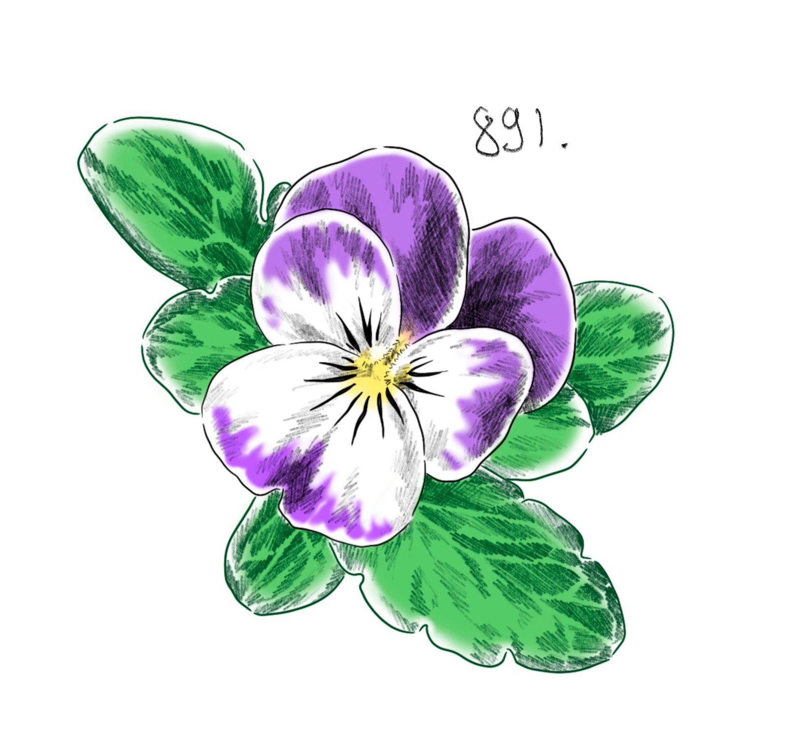 Flash 891