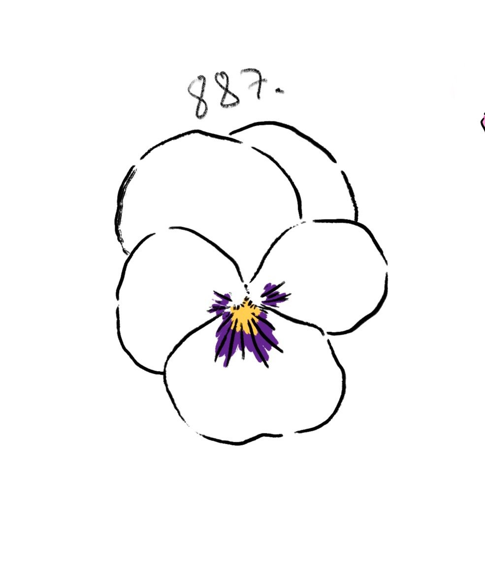 Flash 887