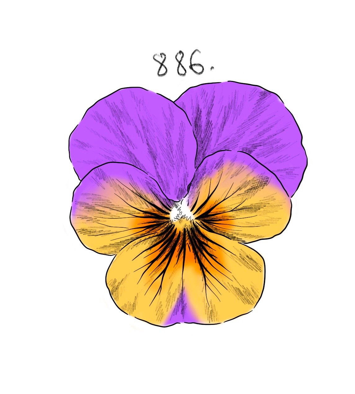 Flash 886