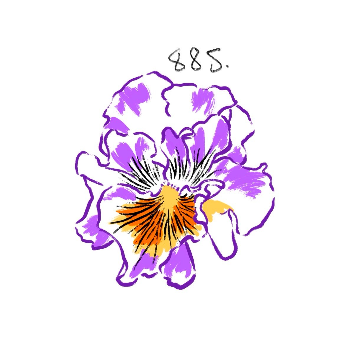 Flash 885