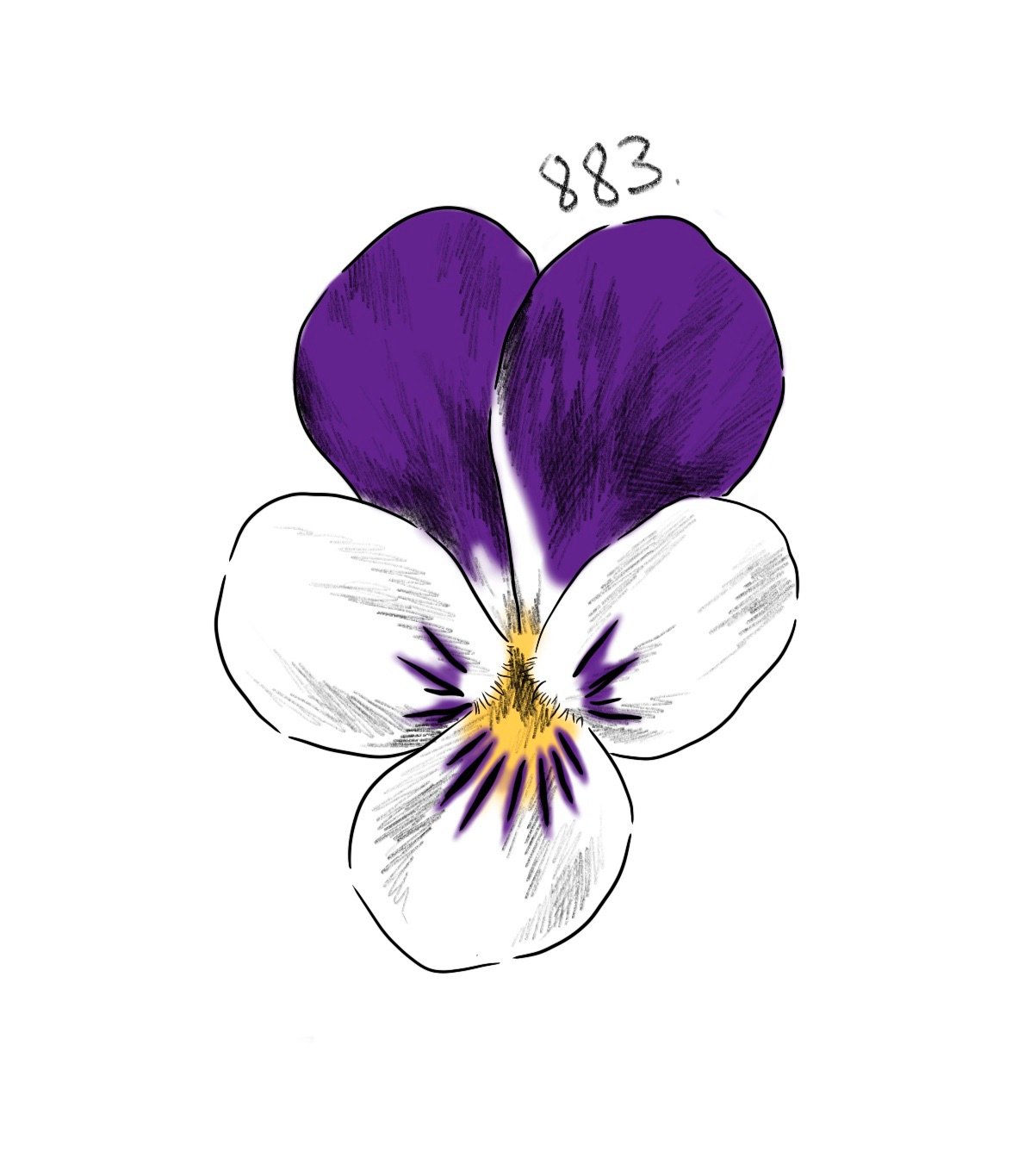 Flash 883