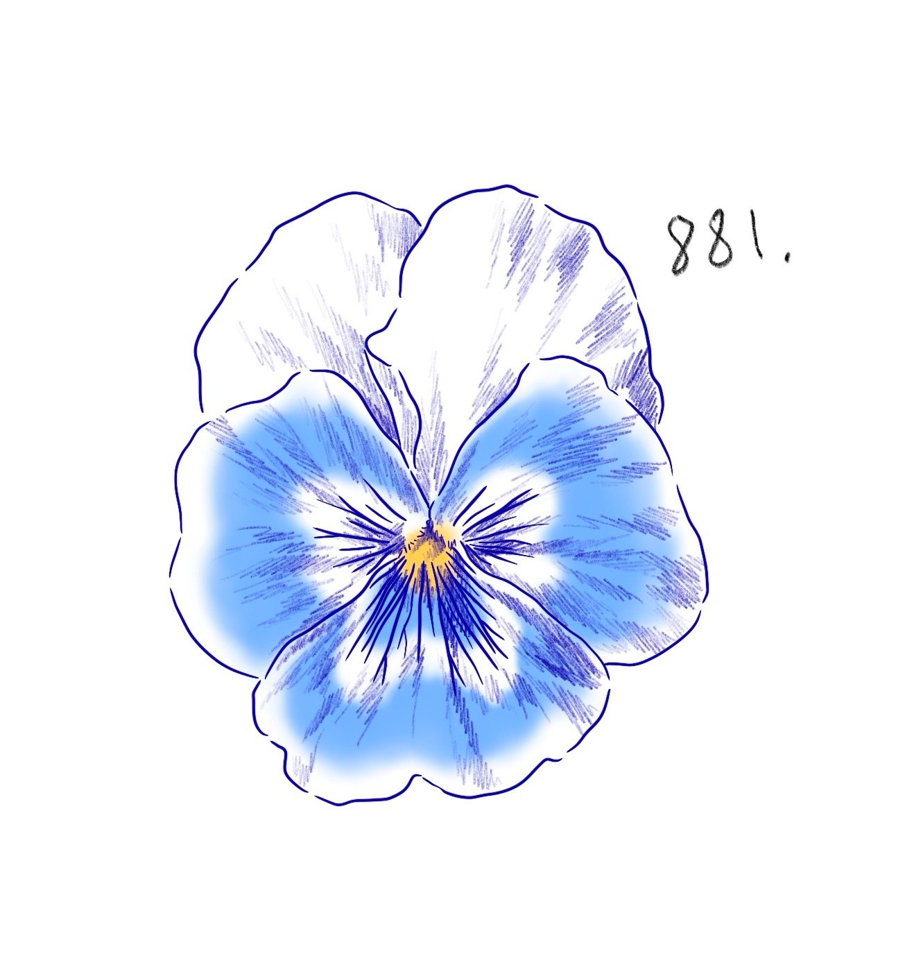 Flash 881